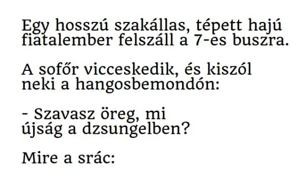 Vicc: Egy hosszú szakállas, tépett hajú fiatalember felszáll a 7-es…