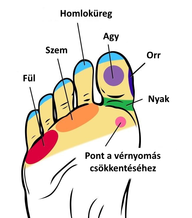 az 1. zóna diagramja