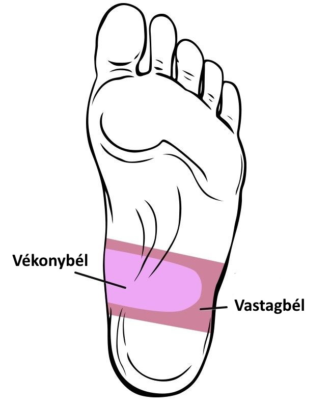 4. zóna diagramja