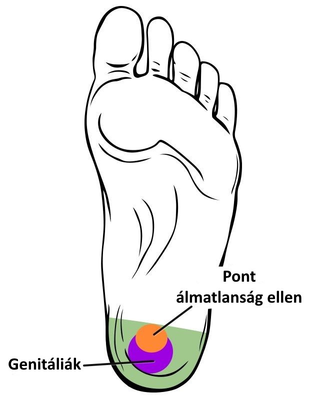 5. zóna diagramja