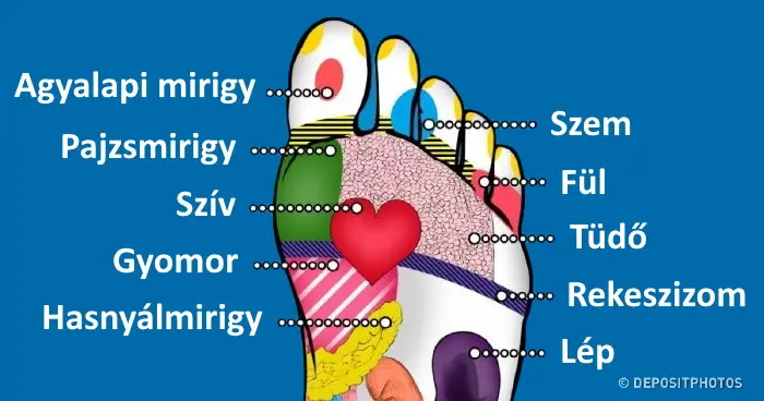 Így használd a talpmasszázst az egészséged javításához: 21 stratégiai pont a lábadon