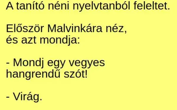 Vicc: A tanító néni nyelvtanból feleltet. Először Malvinkára néz, és…