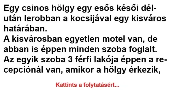 Vicc: Egy csinos hölgy egy esős késői délután lerobban a kocsijával…