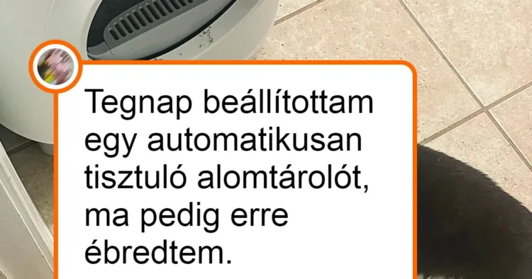 21 fenegyerek háziállat, aki mestere a gazdi idegeinek szaggatásának