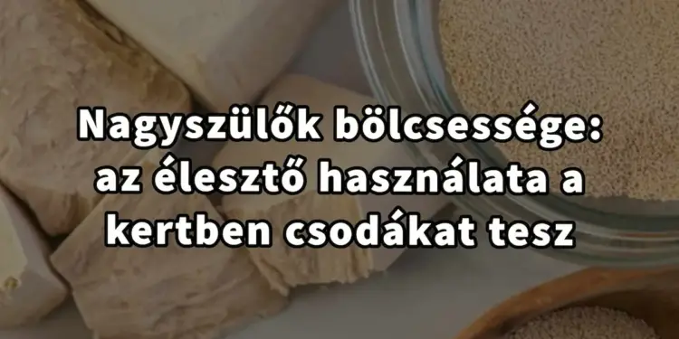 A szakértők titkai: Hogyan használjuk az élesztőt kerti gondozásban, hatékonyan…