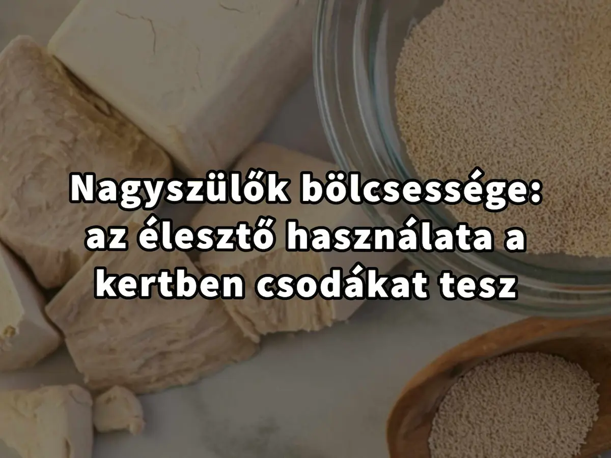 A szakértők titkai: Hogyan használjuk az élesztőt kerti gondozásban, hatékonyan…