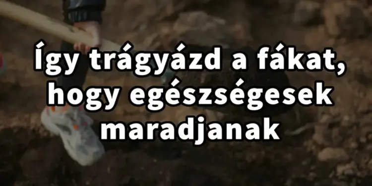 Egy csipetnyi titok a fák életerős növekedéséhez: Erre figyelj a trágyázáskor!