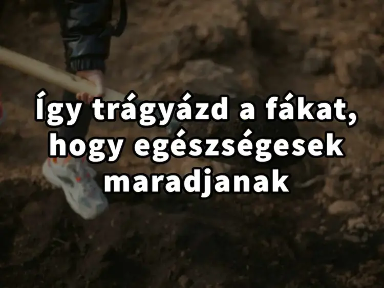 Egy csipetnyi titok a fák életerős növekedéséhez: Erre figyelj a trágyázáskor!