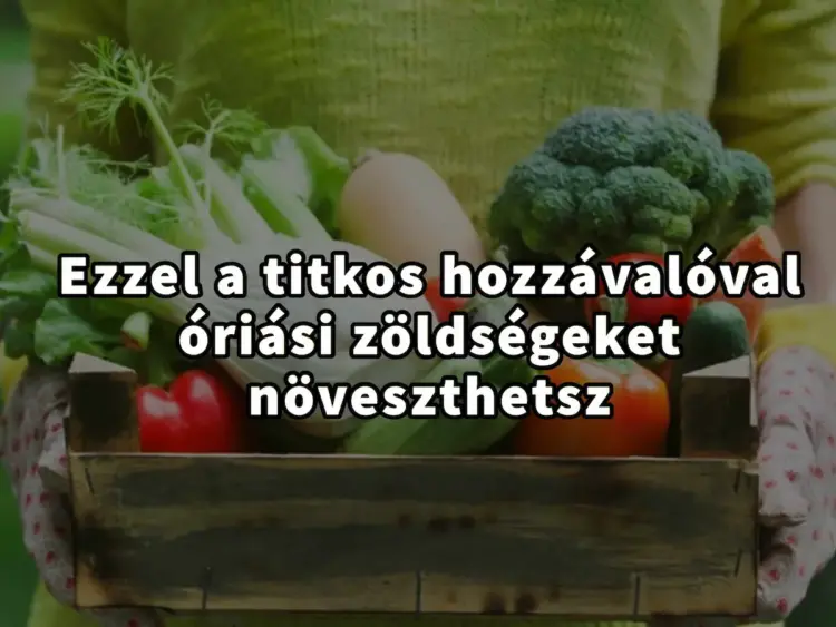 A titkos hozzávaló, amellyel öregbítheti veteményeskertjét…