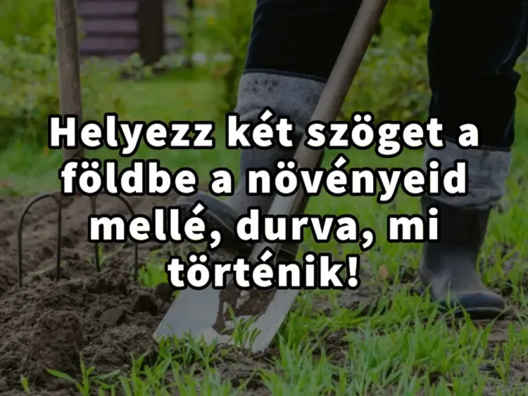 Hihetetlen hatás: helyezz két vasszöget a növényeid mellé – meglátod, mi történik!