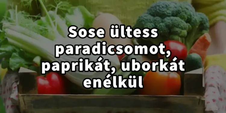 Óriási hiba, ha paradicsomot, uborkát és paprikát ültetsz enélkül…