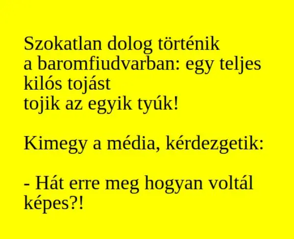 Vicc: A baromfiudvarban egykilós tojást tojik az egyik tyúk