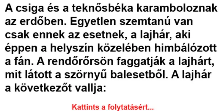 Vicc: A csiga és a teknősbéka karamboloznak az erdőben