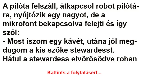 Vicc: A pilóta felszáll, átkapcsol robot pilótára