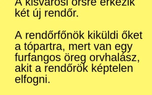 Vicc: A rendőrfőnök kiküld két újonc rendőrt a tópartra a furfangos…