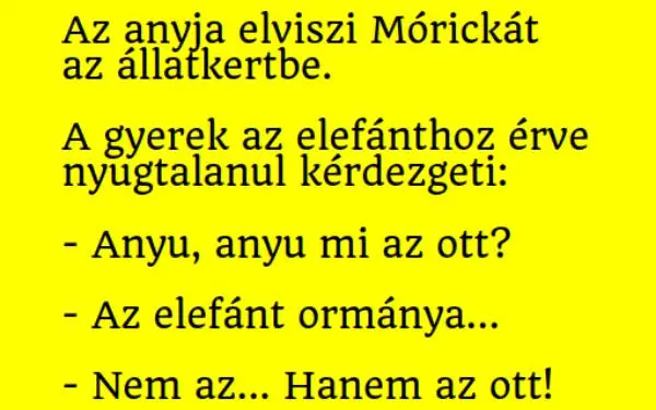 Vicc: Az anyja elviszi Mórickát az állatkertbe. A gyerek az elefánthoz…