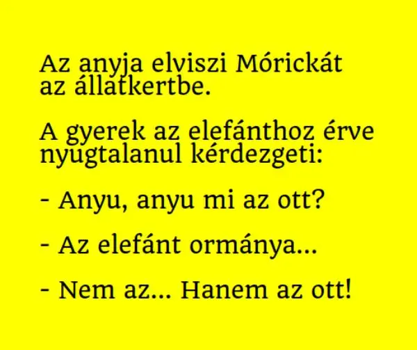 Vicc: Az anyja elviszi Mórickát az állatkertbe. A gyerek az elefánthoz…