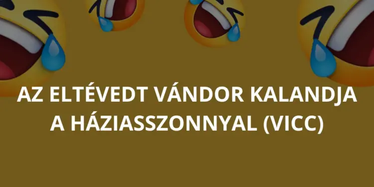 Vicc: Az eltévedt vándor kalandja a háziasszonnyal (Vicc)