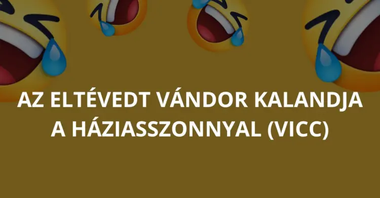 Vicc: Az eltévedt vándor kalandja a háziasszonnyal (Vicc)