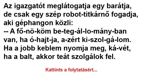 Vicc: Az igazgatót meglátogatja egy barátja, de csak egy szép robot-titkárnő…