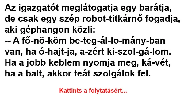 Vicc: Az igazgatót meglátogatja egy barátja, de csak egy szép robot-titkárnő…