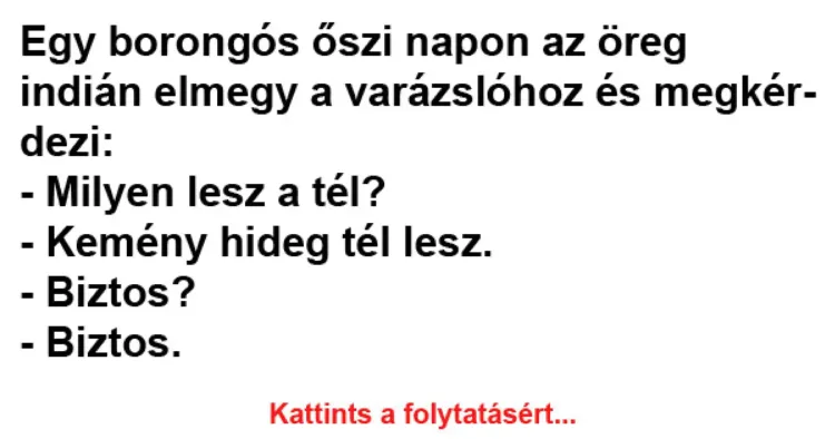 Vicc: Egy borongós őszi napon az öreg indián elmegy a varázslóhoz