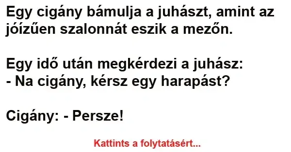 Vicc: Egy cigány bámulja a juhászt, amint az jóízűen szalonnát eszik a…