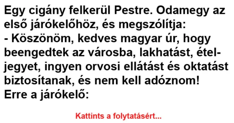 Vicc: Egy cigány felkerül Pestre