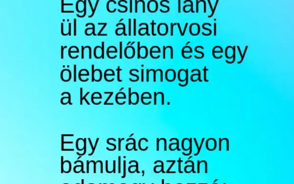 Vicc: Egy csinos lány ül az állatorvosi rendelőben és egy ölebet…