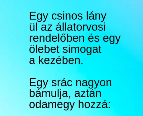 Vicc: Egy csinos lány ül az állatorvosi rendelőben és egy ölebet…