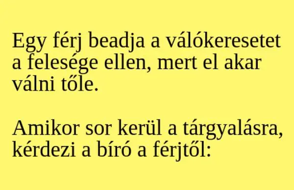 Vicc: Egy férj beadja a válókeresetet a felesége ellen. A tárgyaláson…