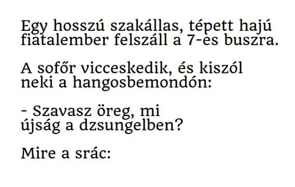 Vicc: Egy hosszú szakállas, tépett hajú fiatalember felszáll a 7-es…