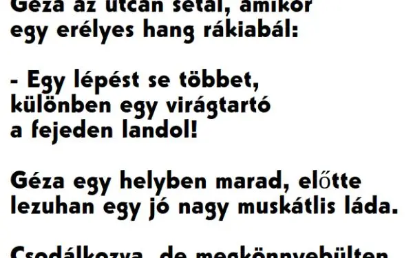 Vicc: Géza az utcán sétál, amikor egy erélyes hang rákiabál: