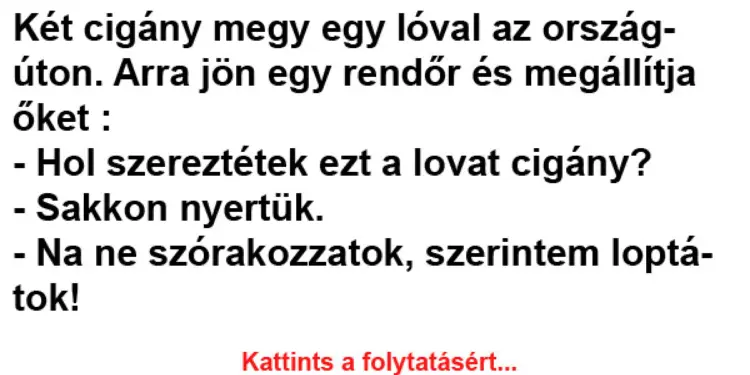 Vicc: Két cigány megy egy lóval az országúton