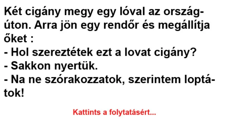 Vicc: Két cigány megy egy lóval az országúton