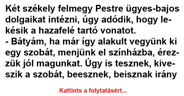 Vicc: Két székely felmegy Pestre