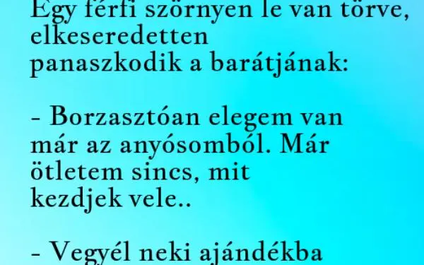 Vicc: Szörnyen elegem van már az anyósomból