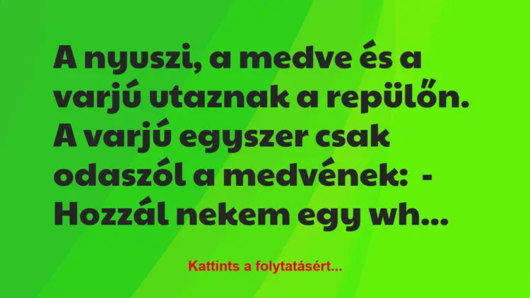 Vicc: A nyuszi, a medve és a varjú utaznak a repülőn.A varjú egyszer…