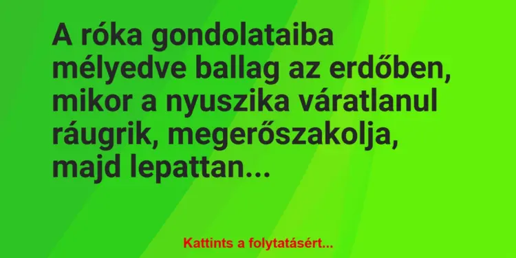 Vicc: A róka gondolataiba mélyedve ballag az erdőben, mikor a nyuszika…