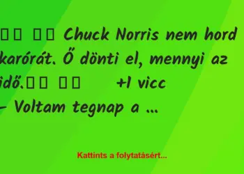 Vicc:
Chuck Norris nem hord karórát. Ő dönti el, mennyi…