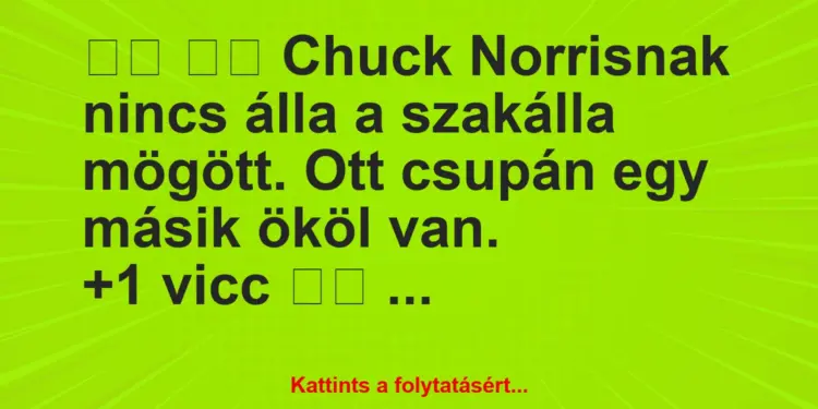 Vicc:
Chuck Norrisnak nincs álla a szakálla mögött. Ott…