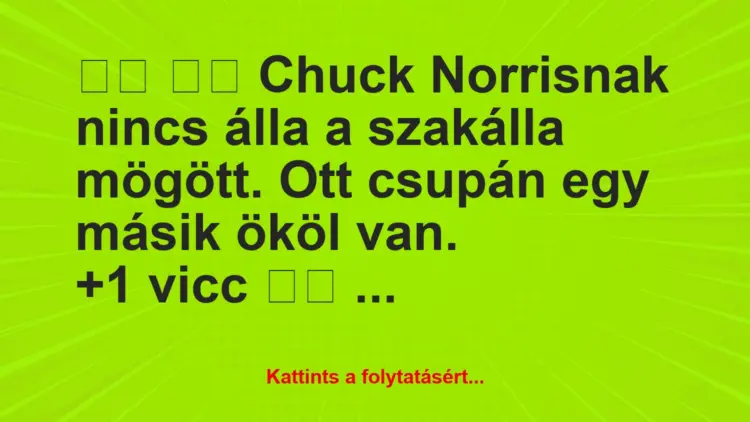 Vicc:
Chuck Norrisnak nincs álla a szakálla mögött. Ott…