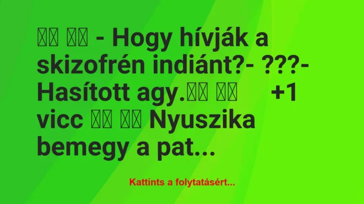 Vicc: 
		  
		  – Hogy hívják a skizofrén indiánt?- ???- …