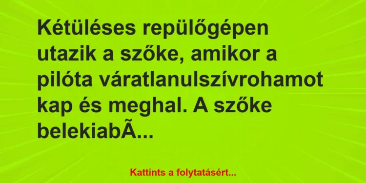 Vicc: Kétüléses repülőgépen utazik a szőke, amikor a pilóta…