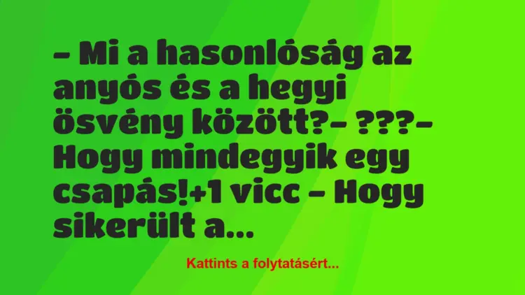 Vicc: – Mi a hasonlóság az anyós és a hegyi ösvény között?– ???-…