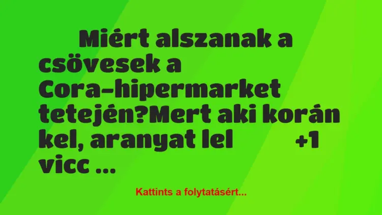 Vicc:
Miért alszanak a csövesek a Cora-hipermarket…