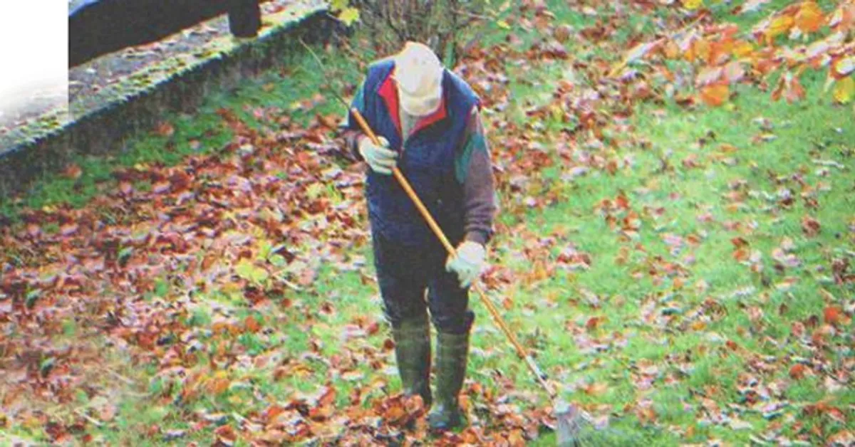 Egy gazdag nő megvető viselkedése egy szegény öregemberrel szemben és annak meglepő következményei