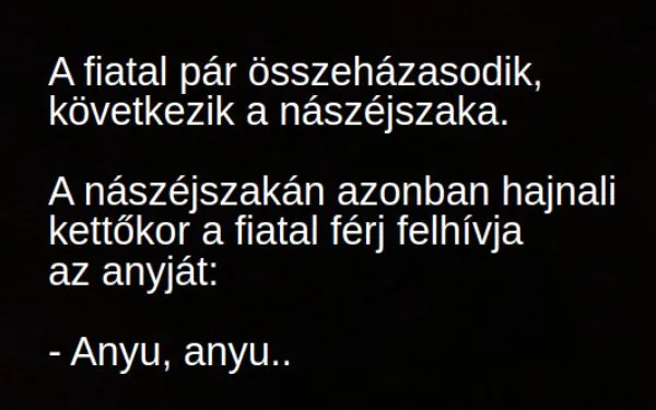 Vicc: A nászéjszakán hajnali kettőkor a fiatal férj felhívja az…