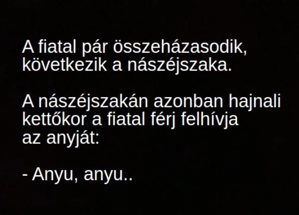 Vicc: A nászéjszakán hajnali kettőkor a fiatal férj felhívja az…