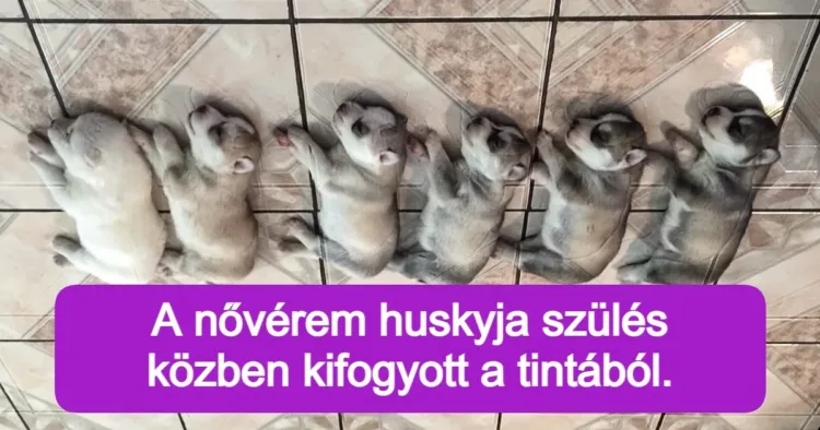 15+ kép, amelyek hozzáadnak egy kis boldogságot a napodhoz